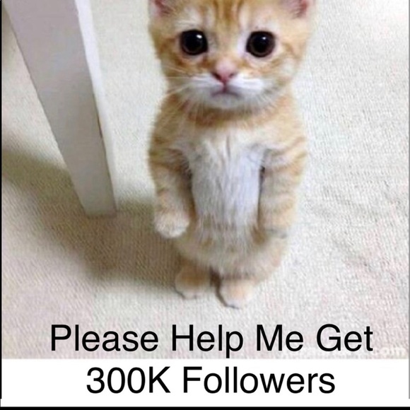 Gorgeous Statement Necklace Pin & Turquoise on Gold - Picture 16 of 16